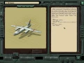11.jpg_10