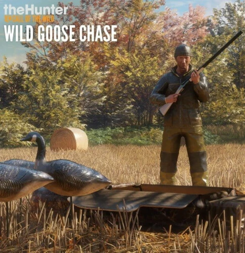 goose.jpg_0
