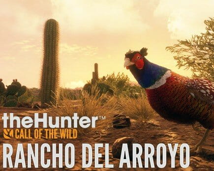 arroyo.jpg_0