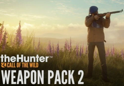 weapon-2.jpg_0