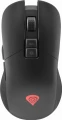 Genesis Zircon 330