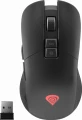 Genesis Zircon 330