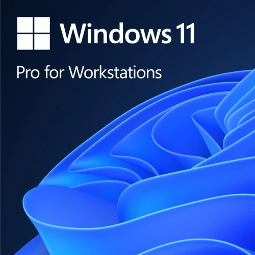 Microsoft Windows 11 Pro for Workstations PL 64 bit OEM