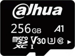Dahua Technology TF-L100 SDXC 256 GB Class 10