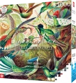 Puzzle Imagination: Ernst Haeckel Kolibry 1000 elementów