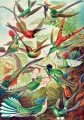 Puzzle Imagination: Ernst Haeckel Kolibry 1000 elementów