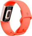 Fitbit Activitytracker Charge 6 champagne (GA05184-EU)