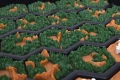 Rebel Terraformacja Marsa: Big Storage Box + elementy 3D