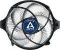 Arctic Alpine 23