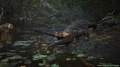 XSX Metal Gear Solid Delta Snake Eater Day One Edition