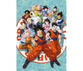Good Loot Dragon Ball Super: Universe Survival Puzzles 1000