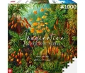 Good Loot Imagination: Ernst Haeckel Muscinae Puzzle 1000
