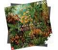 Good Loot Imagination: Ernst Haeckel Muscinae Puzzle 1000