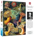 Good Loot Imagination Ernst Haeckel Stworzenia morskie 1000 elementów