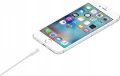 Apple Lightning na USB