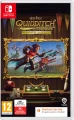 NS Harry Potter Mistrzowie Quidditcha Edycja Deluxe