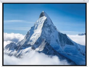Art ART HAND SCREEN 120inch 305x305cm MA-120 1:1