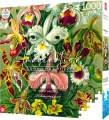 Good Loot Imagination Puzzle: Ernst Haeckel Orchidea / Orchid 1000 elementów