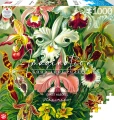 Good Loot Imagination Puzzle: Ernst Haeckel Orchidea / Orchid 1000 elementów