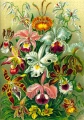 Good Loot Imagination Puzzle: Ernst Haeckel Orchidea / Orchid 1000 elementów