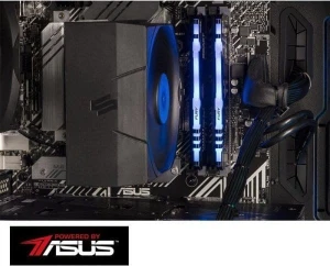 Actina PBA 5500/16GB/1TB/RX6600/600W