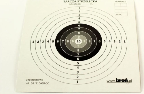 BRON.PL Tarcze papierowe 14x14 cm 100 szt. , 3.1414