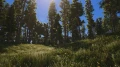 444.jpg_3