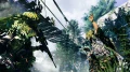 a3.jpg_2