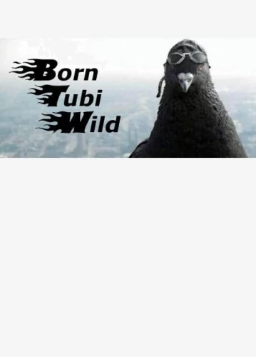born-tubi-wild.jpg_0