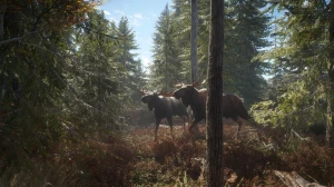 TheHunter: Call of the Wild (PC) PL klucz Steam