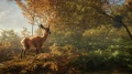 ss-f61dadac69af9e6ece7e6372ef4d93f9dea50cfe-1920x1080.jpg_13