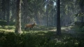 ss-bcdff6c5e87115f2efa6cdf0362f133eb170b04f-1920x1080.jpg_15