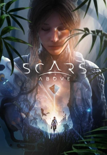 scars-above.JPG_0
