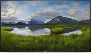 Dell P5524Q