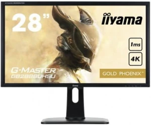 iiyama GB2888UHSU-B1