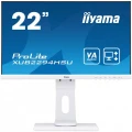 IIYAMA Monitor 21,5 XUB2294HSU- VA,FLHD,HDMI,DP,VGA,USB