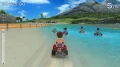 Gra Nintendo Switch Go Vacation