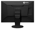 Monitor EIZO EV2456-BK - monitor LCD 24,1", Wide (16:10), IPS, LED, FlexStand 4 (czarny)
