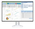 Monitor EIZO EV2457-WT - monitor LCD 24,1", Wide (16:10), IPS, LED, FlexStand 4 (biały)