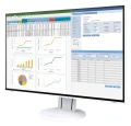 Monitor EIZO EV2457-WT - monitor LCD 24,1", Wide (16:10), IPS, LED, FlexStand 4 (biały)