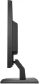 Monitor 17 cali HP P174 5RD64AA