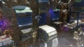 Gra Sony PS4 Knack 2 PL