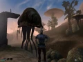 Gra PC The Elder Scrolls III: Morrowind Game of the Year Edition