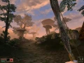 Gra PC The Elder Scrolls III: Morrowind Game of the Year Edition