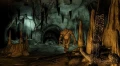 Gra PC The Elder Scrolls IV: Oblivion Game of the Year Edition