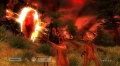 Gra PC The Elder Scrolls IV: Oblivion Game of the Year Edition