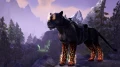 Gra PS4 The Elder Scrolls Online: Summerset