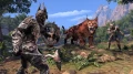 Gra PS4 The Elder Scrolls Online: Elsweyr