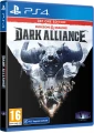 Gra PS4 Dungeons & Dragons Dark Alliance Day One Edition