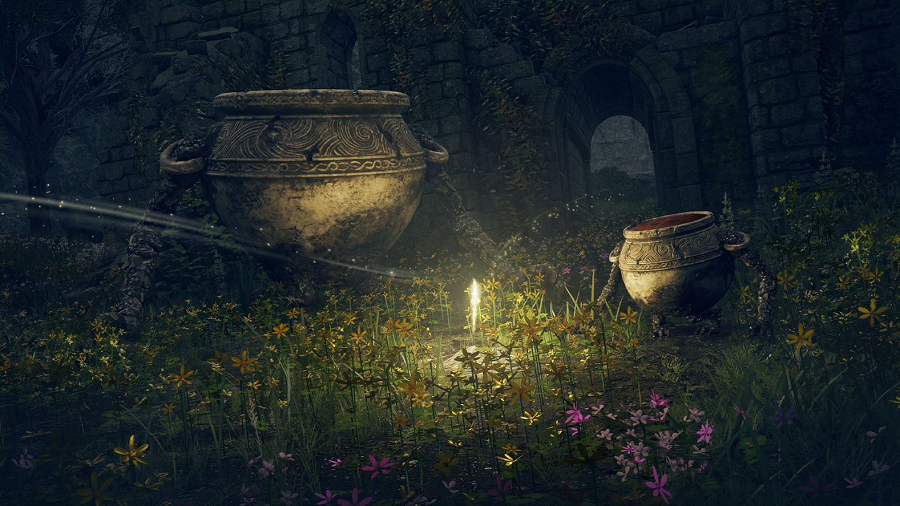 Elden Ring obraz 2